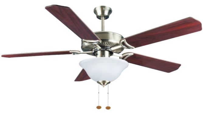 Roshan 52" Decorative Ceiling Fan/Single Dome