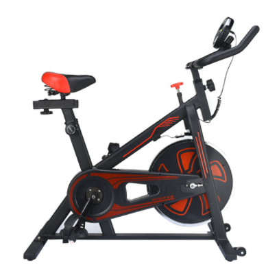 Mustang EX300 Spin Bike
