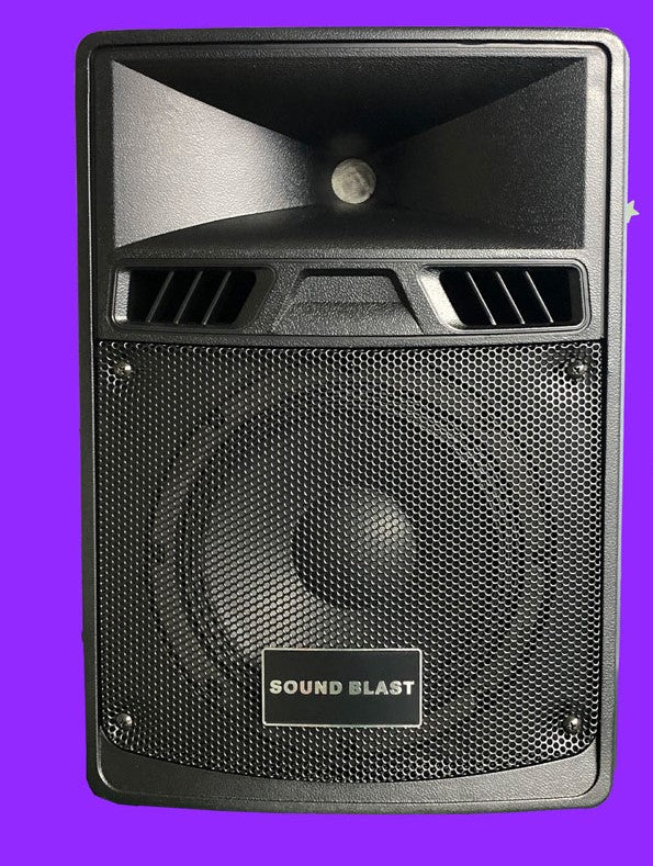 Sound Blast 8" Speaker