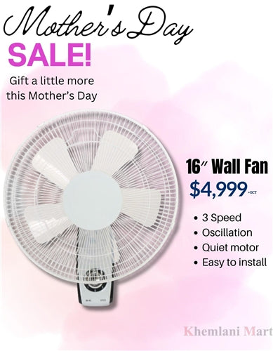 Wall Fan 16"