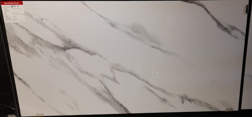 Arbescato White 24X48 Polished Porcelain Glossy